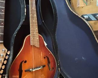 Acoustic Mandolin in Sunburst Finish with Hard Case