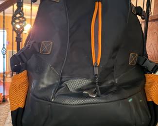 Republic of Gamers back pack