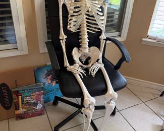 Anatomy skeleton (heavy)
