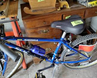 Schwin 15 Speed Bike (Garage)