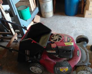 Craftsman Mower ( Garage)