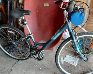 Schwin Voyager (Garage)