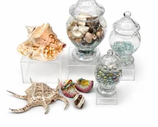 153 VintageSeashellDecorMarbleCollectionLot