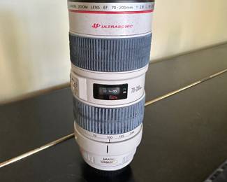Ultrasonic image stabilizer