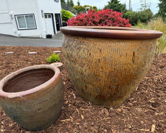 Lot 122: Premium Glazed Ceramic Garden Pots