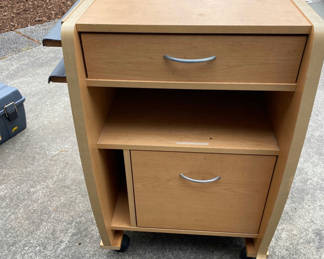 Lot 171: Cabinet on Wheels
