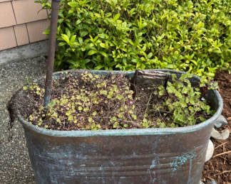 Lot 140: Vintage Wash Tub Planter