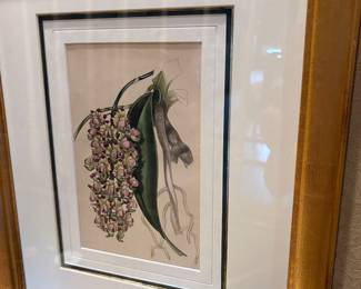 Botanical Print
