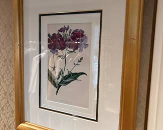 Botanical Print