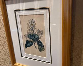 Botanical Print
