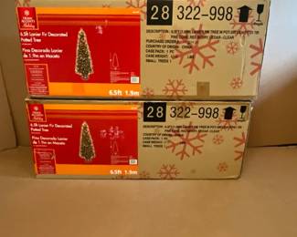 Two Christmas Trees In Box