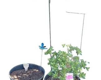 Outdoor Planters With Garden Decor