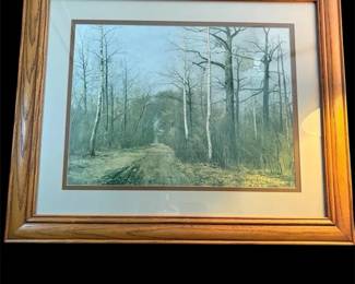 Birch Road Framed Print