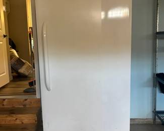 Frigidaire 20.2 cu.ft Frost Free Upright Freezer
