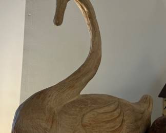 Swan