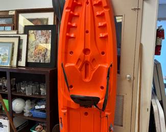 Lifetime kayak 