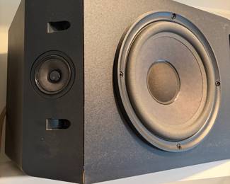 C131 - $100. Bose 301 Series IV Right & Left Speaker