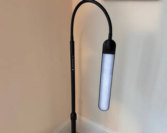 C9 - $20. NxOne Sofa Lamp. Adjustable height & brightness.
