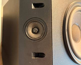 C131 - $100. Bose 301 Series IV Right & Left Speaker
