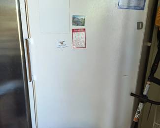 Stand up Freezer