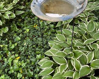 Bird bath