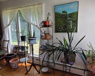 Plants
