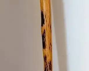 Handmade Hard Wood Walking Stick
