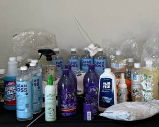 Mystery Cleaning Lot