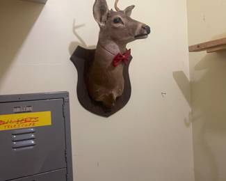 Vintage mounted deer head
