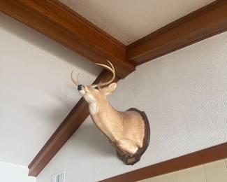 Mount Deerhead