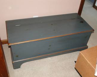 Chest/Trunk