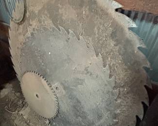Buzz Saw Blades