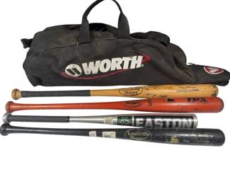 4 Baseball Bats and Carrying Bag Set
