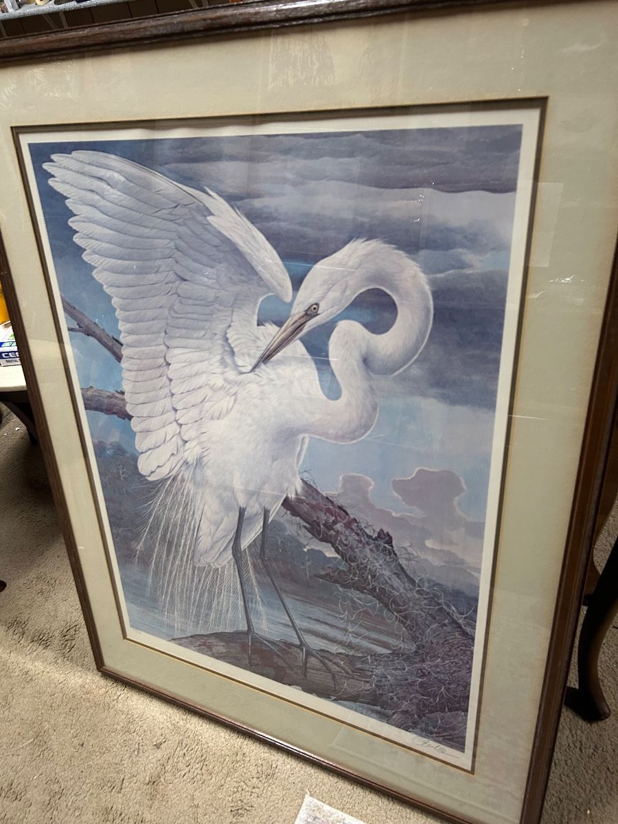 $300 Basil Ede, American Egret