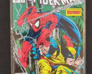 SpiderMan Perceptions Part of Comic Book