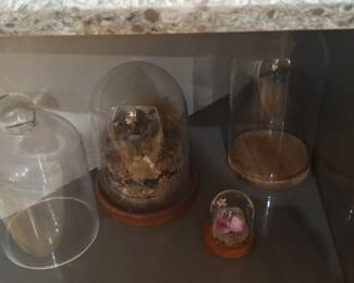 Victorian Style Cloches with Natural Elements