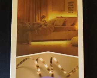 West  Arrow Motion Light Strip