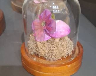 Mushroom and Flower Cloche Display