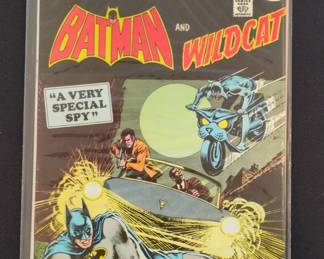 Batman and Wildcat A Very Special Spy The Brave and the Bold