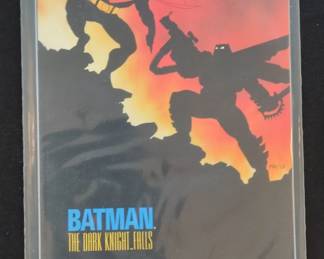 Batman The Dark Knight Falls