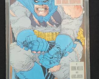 Batman The Dark Knight Triumphant second image