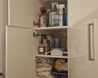 Assorted Household Goods and Cleaning Supplies
