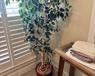Gallery image 69