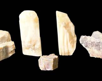Mineral Specimens  Calcite  Petrified Wood