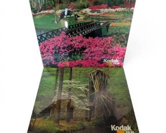 Two Kodak Prints Of Nature