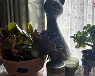 Heavy ceramic Cat African Violet Plant