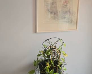 Pictures and live plants