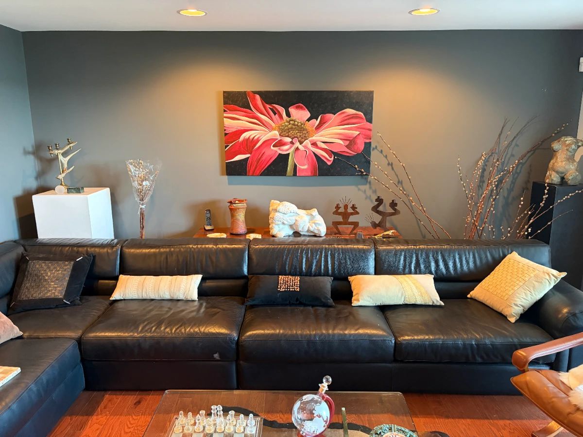 Leather! Roche Bobois
