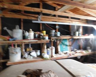 Gallery image 54