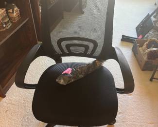 New computer chair